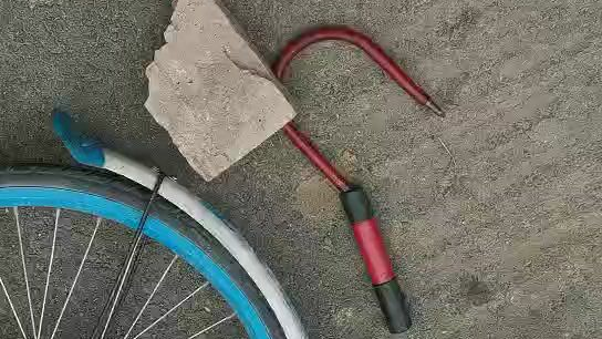 西安锦衣卫哈罗8.14号工作中2